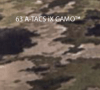 A-TAGS iX - 63