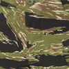 Tiger Stripe - 62